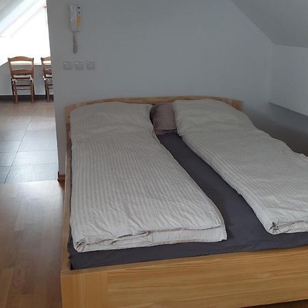 Apartma Samo Apartment Kranj Exterior photo